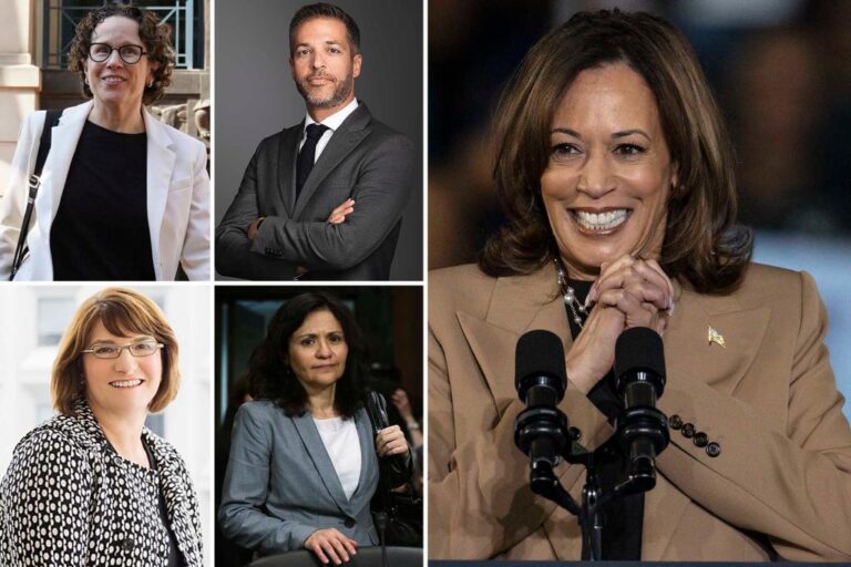 Big Tech Antitrust Lawyers Raise Harris Fundraising: 'Trying to Storm the Castle'

